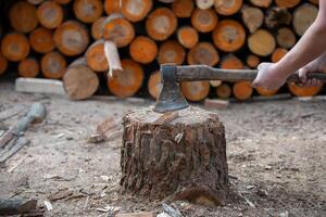 The hand of a woodcutter chops wood with a sharp axe, chips fly around. photo