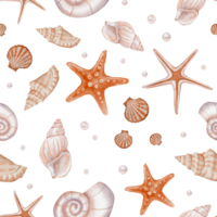 Seashell and Pearls Pattern on isolated background. Hand drawn vintage watercolor seamless ornament with Sea Shells and stars for wrapping paper or textile in nautical style. png