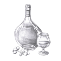 Bottle of cognac, glass and grapes in pencil. Isolated illustration on the theme of alcoholic drinks for menu design, cookbook, gastronomic magazines and festivals. png