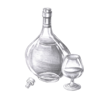 Bottle of cognac, glass and grapes in pencil. Isolated illustration on the theme of alcoholic drinks for menu design, cookbook, gastronomic magazines and festivals. png