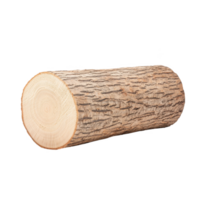 A close-up view of a cut log showing natural wood texture and patterns. png