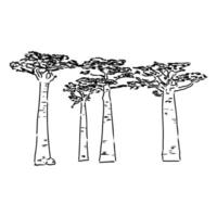 a drawing of a tree with a line drawing of the trunk vector
