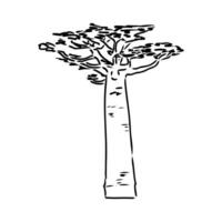 a drawing of a tree with a large trunk vector