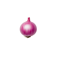 Fresh red onion with distinct purple and white layers on a reflective surface. png