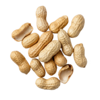Raw peanuts in shells with a natural texture on a clean background. png