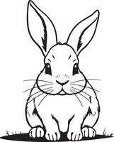 A black and white drawing of a rabbit vector