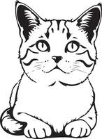 A cat is sitting on the ground in a black and white drawing vector