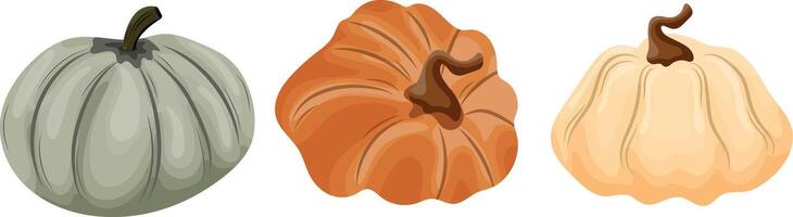 set of three different pumpkins of different sizes of orange green and light color vector