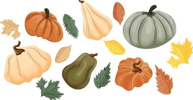 set of various pumpkins of different sizes in orange green and light colors with various autumn leaves vector