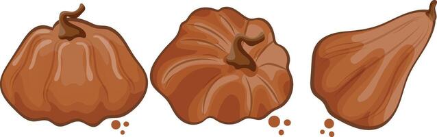 a set of gingerbread templates in the shape of pumpkins of various sizes and shapes, for various Halloween designs vector