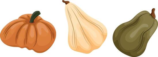 set of three different pumpkins of different sizes and different colors vector