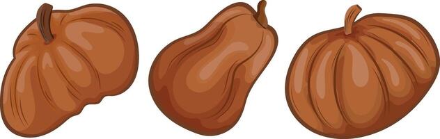 set of gingerbread templates in the shape of pumpkins of different sizes and shapes, for a variety of Halloween designs vector