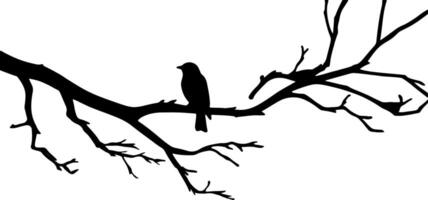 A silhouette of a bird sitting on a branch vector