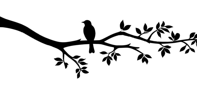 Bird on tree branch illustration