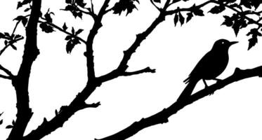 Bird on tree branch with a background vector