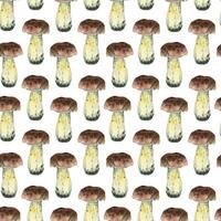 White mushroom, boletus with brown cap and light stem, hand drawn with watercolor and isolated on white background. Seamless watercolor pattern. For printing on fabric, paper, for kitchen design vector