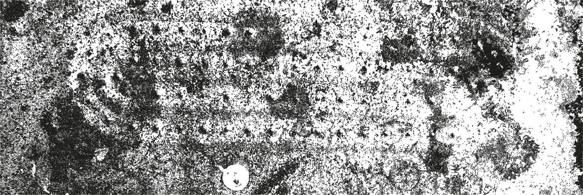 Grunge texture characterized by halftones, scuffs, scratches, and splashes creating a weathered background effect evocative of urban decay and artistic expression.