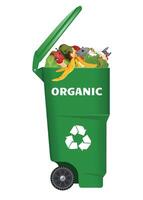 plastic garbage container for food waste with open lid and green garbage on white background vector