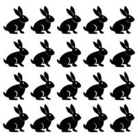 a set of black and white rabbits in a row vector