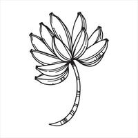 Single one line Banana branch with banana silhouette on white background vector