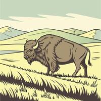The illustration of buffalo animal vector
