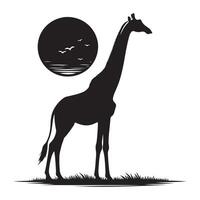 A black giraffe silhouette on a white background while it walks vector