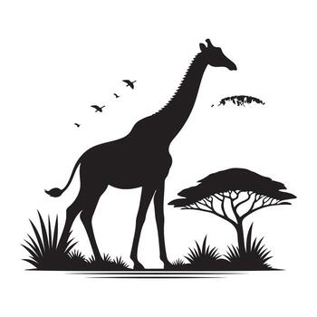 There is a giraffe in front of a tree. vector