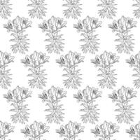A branch of lily with flowers and buds on a long stem. Seamless pattern. Doodle style. vector