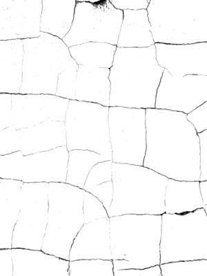 Grunge overlay for design projects. Dry old paint crack texture. Abstract black and white background