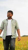 Indian farmer walks through a soybean field video