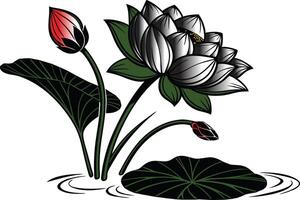 a Butifull lotus in water gradient color vector
