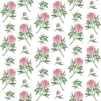 Minimalistic flowers seamless pattern. Delicate pink peony with stem and leaves, small bud. Botanical spring pattern. Suitable for wallpaper, textiles, wrapping paper, postcards. illustration. vector