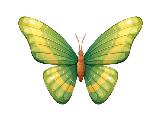 Beautiful green butterfly on white background. Brightly colored butterfly in green and yellow colors. isolated element