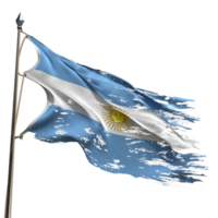 Argentine flag flying png
