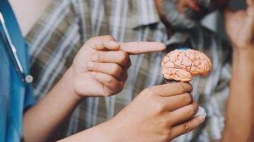 A doctor pointing to a model of a brain video