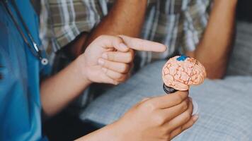 A person holding a toy brain with a doctor pointing at it video