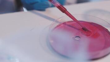 A person holding a red liquid in a lab video