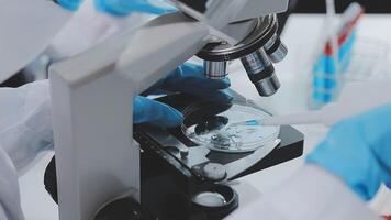 A person in a lab coat is looking at a microscope video