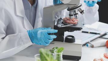 A person in a lab coat is looking at a microscope video