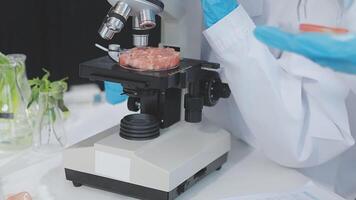 A person in a lab coat is looking at a microscope video