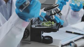 Scientists working in a laboratory with a microscope video