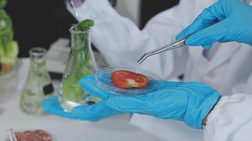 A person in a lab coat is holding a small piece of food video