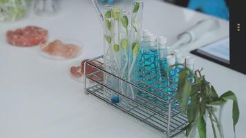 A lab table with a variety of different types of test tubes video