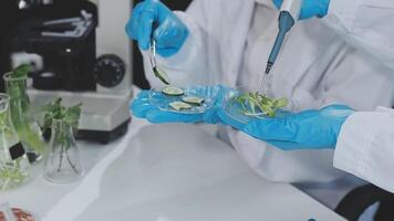 Two people in lab coats and gloves are holding up some plants video
