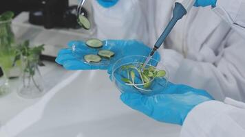 A person in a lab coat holding a glass with cucumbers video