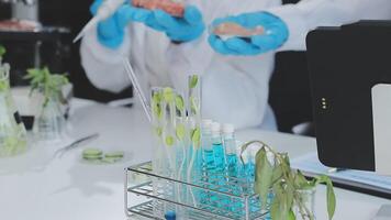 Two people in lab coats are working on a computer video