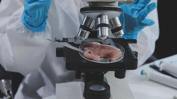 A person in a lab coat is looking at a piece of meat video