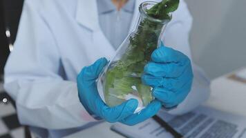 A person in a lab coat holding a plant in a glass video