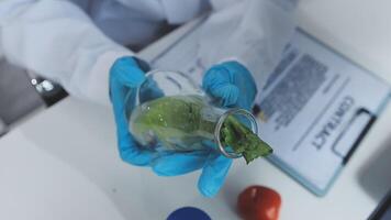 A person in a lab coat holding a glass jar with a leaf in it video