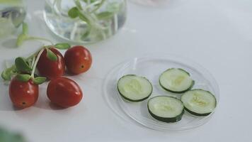 A table with cucumbers and tomatoes video